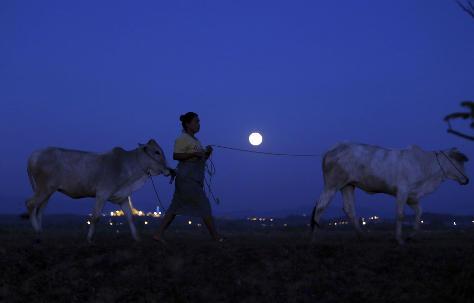 Myanmar Moon